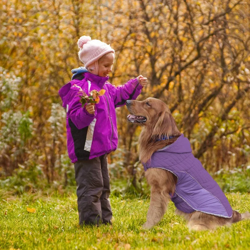 Dog Jackets for Winte