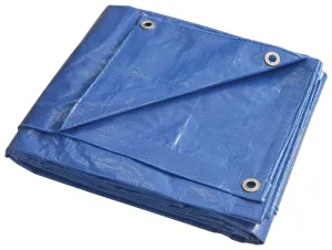 ProSource T3040BB90 Tarpaulin, 40 ft L, 30 ft W, 5 mil Thick, Polyethylene, Blue :EA: QUANTITY: 1