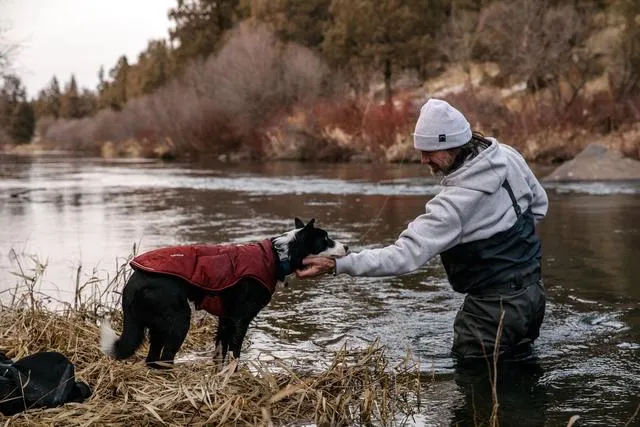 Ruffwear Quinzee Insulated Dog Jacket with free Beacon safety light