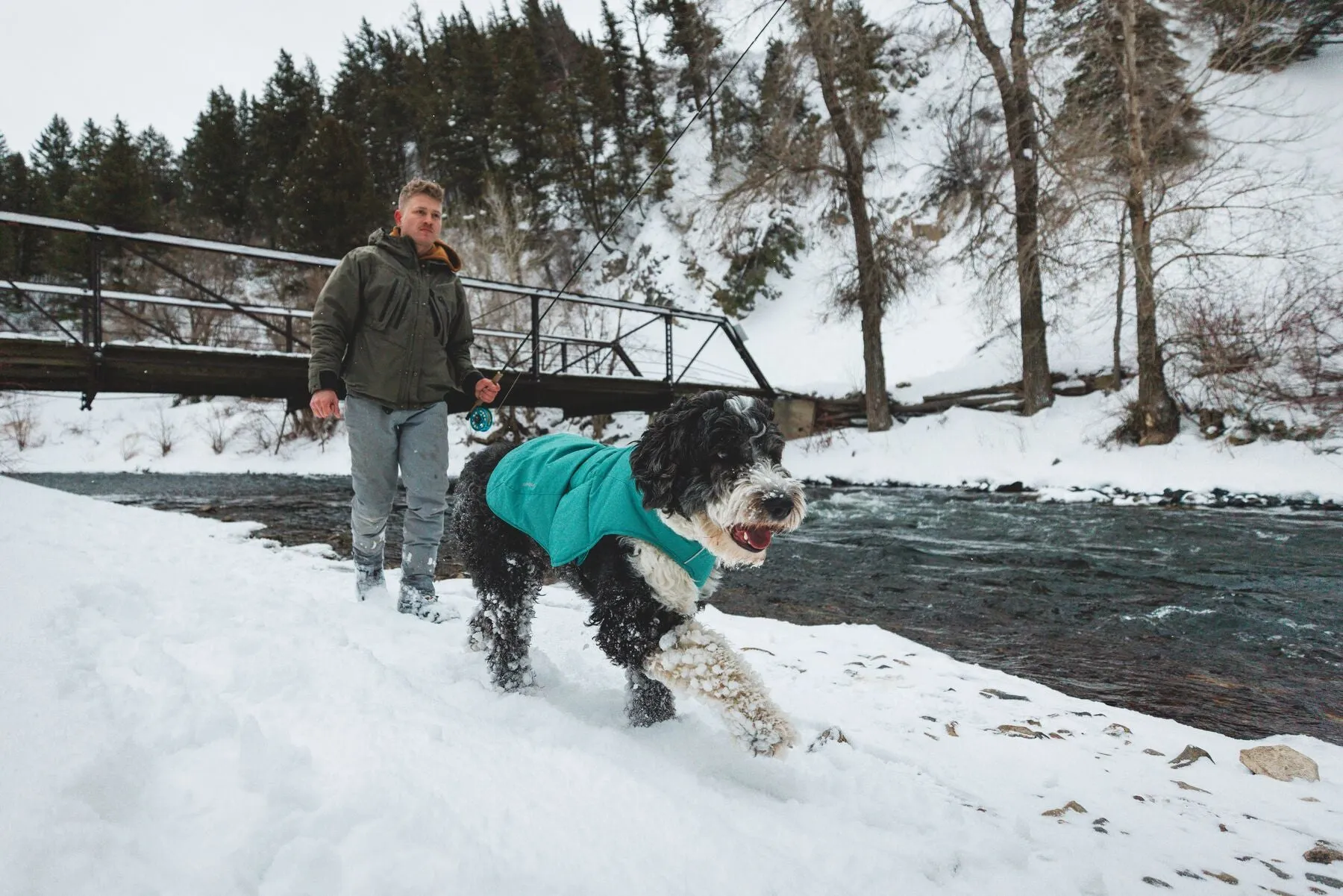 Ruffwear Quinzee Insulated Dog Jacket with free Beacon safety light